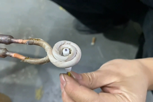 �����l�����O(sh��)�����ֳ�ʽ�����l���C(j��)��ͨ�ž����Ӵ��