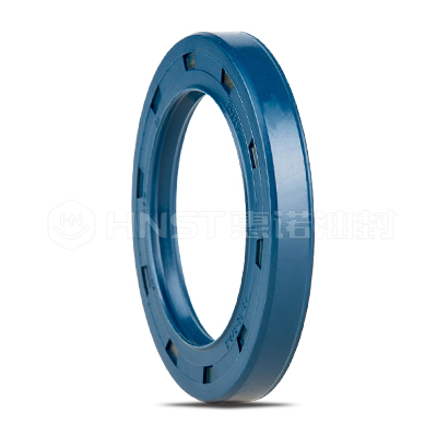 德國(guó)CFW耐壓油封NBR 