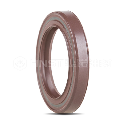 德國(guó)CFW耐壓油封FKM 