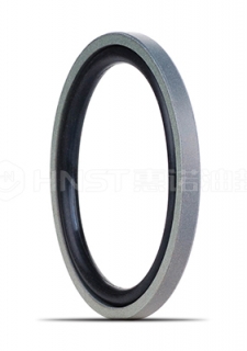 格萊圈—格萊圈PS110是一種孔用活塞桿密封圈，也叫階梯組合密封件。