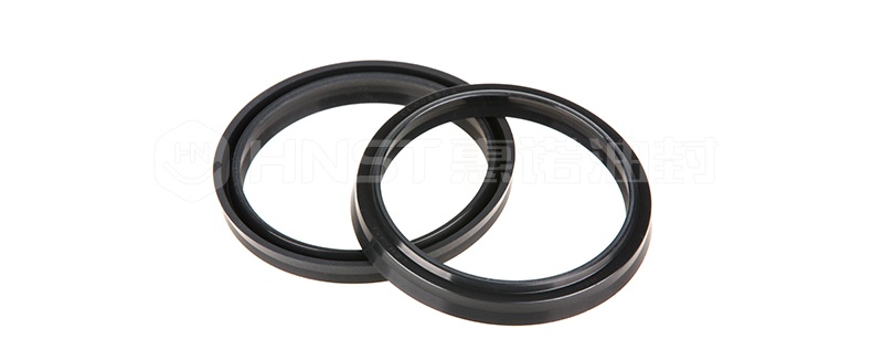 LBH防塵密封圈