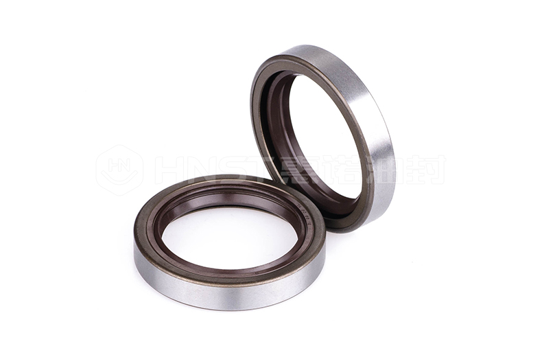 TA型進口氟膠骨架油封實拍圖